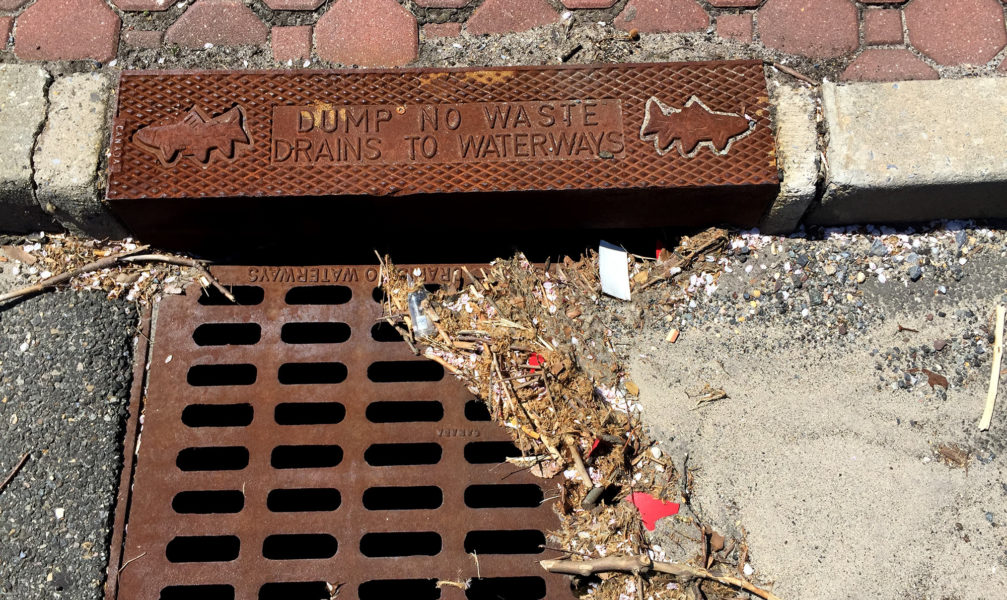 photo of storm drain with trash and sediment