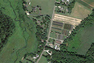 riparian zone aerial image