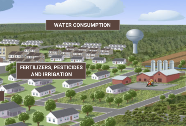 interactive watershed